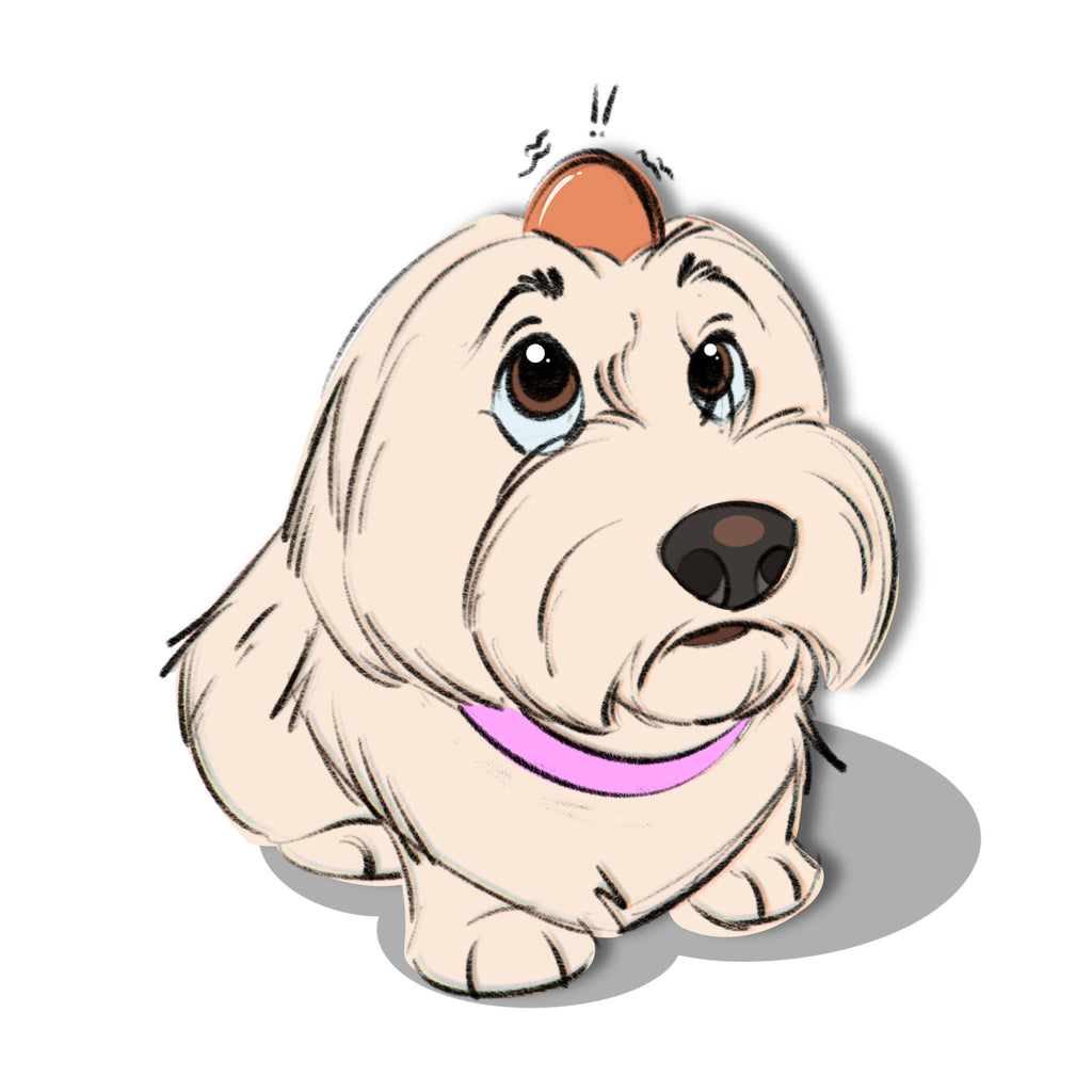 Sketch for Fun | Digital File