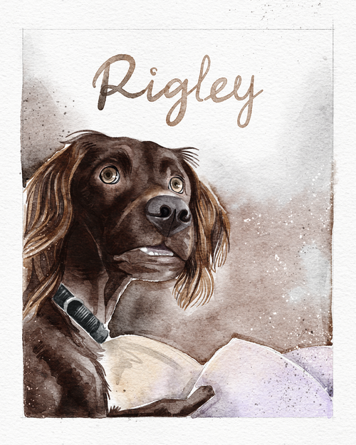 Digital Product | Personalized Watercolor Pet Portrait